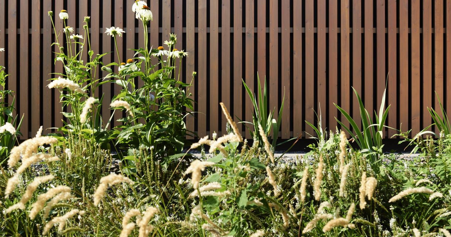 zahnkieferzentrum_0031